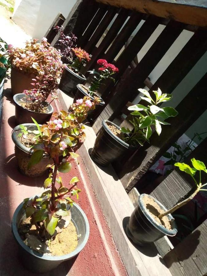 Ask Homestay Ella Zewnętrze zdjęcie