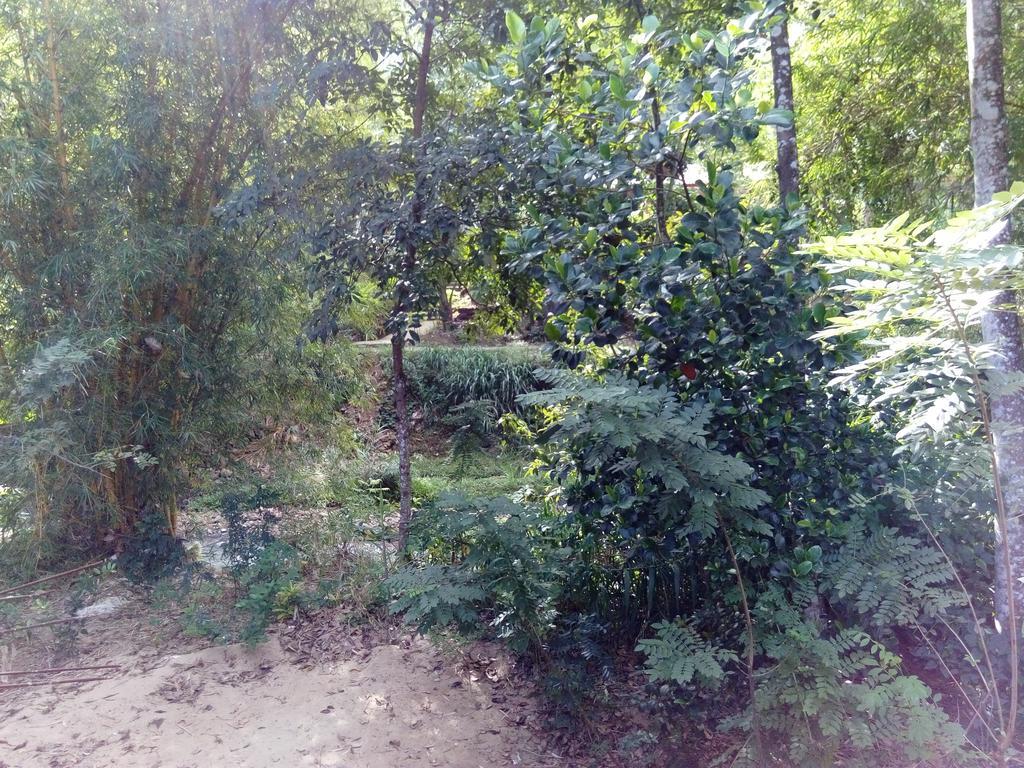 Ask Homestay Ella Zewnętrze zdjęcie